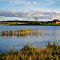 Stubbergaard-06.jpg